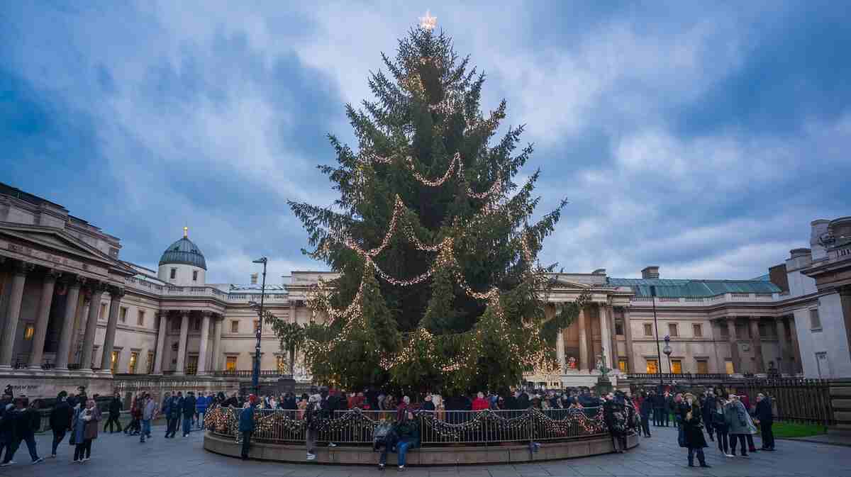 55 Fun Christmas Facts to Delight and Amaze! 5 Americans Spend Billions on Christmas