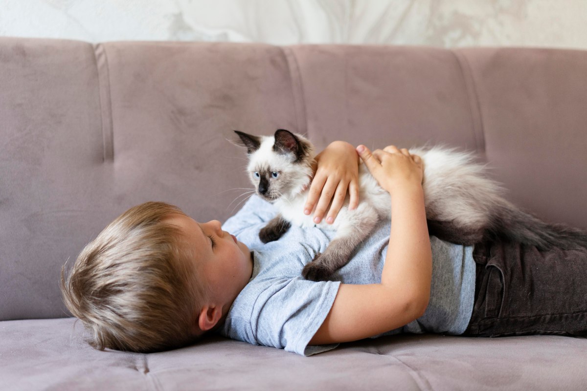 Cat Facts for Kids