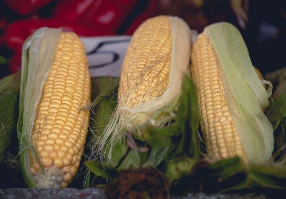 Fresh and Whole Corn Nutrition